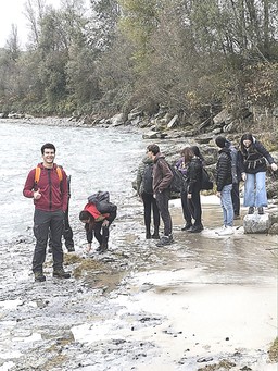 Immagine foresta fossile visita scienze natu (2932161).jpg - {Immagine foresta fossile visita scienze natu (2932161).jpg} - [38483]