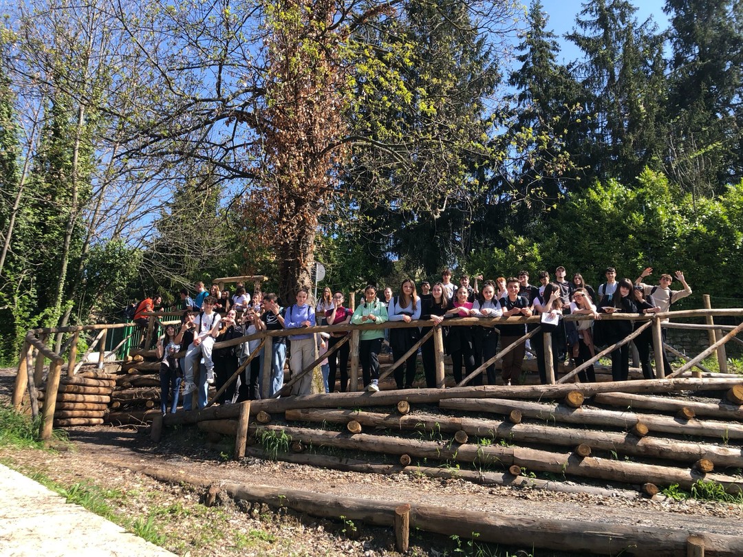 Bosco Nova_Explora_2.jpg - {Bosco Nova_Explora_2.jpg} - [388]