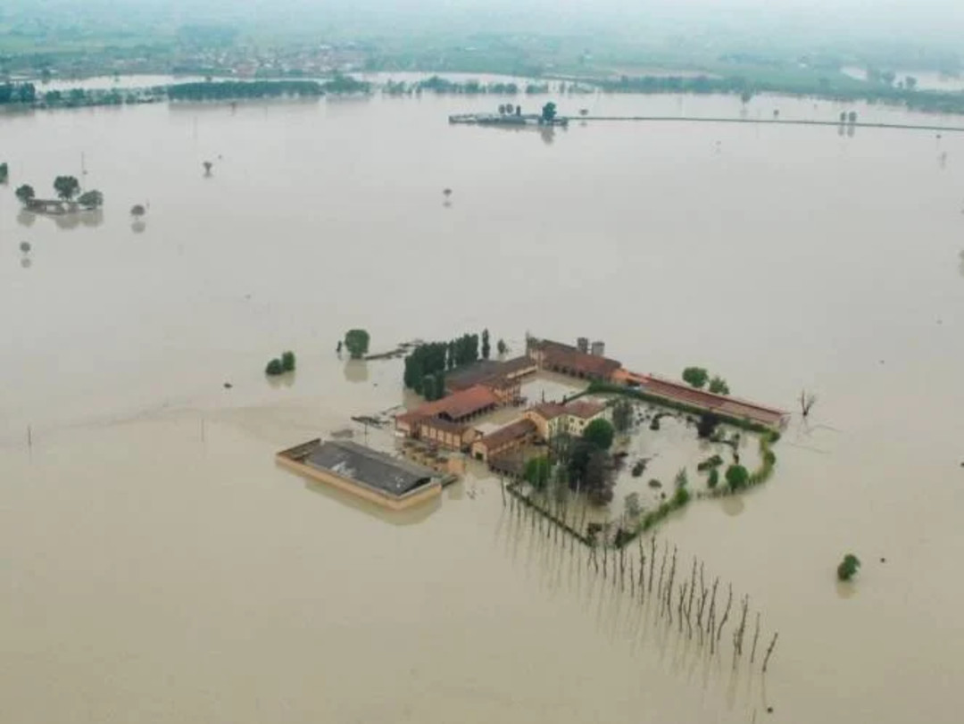 Alluvione1994 _ 5-6 Alessandria.jpg - {Alluvione1994 _ 5-6 Alessandria.jpg} - [38836]