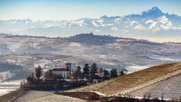 Agriturismi.jpg - {Agriturismi.jpg} - [39036]