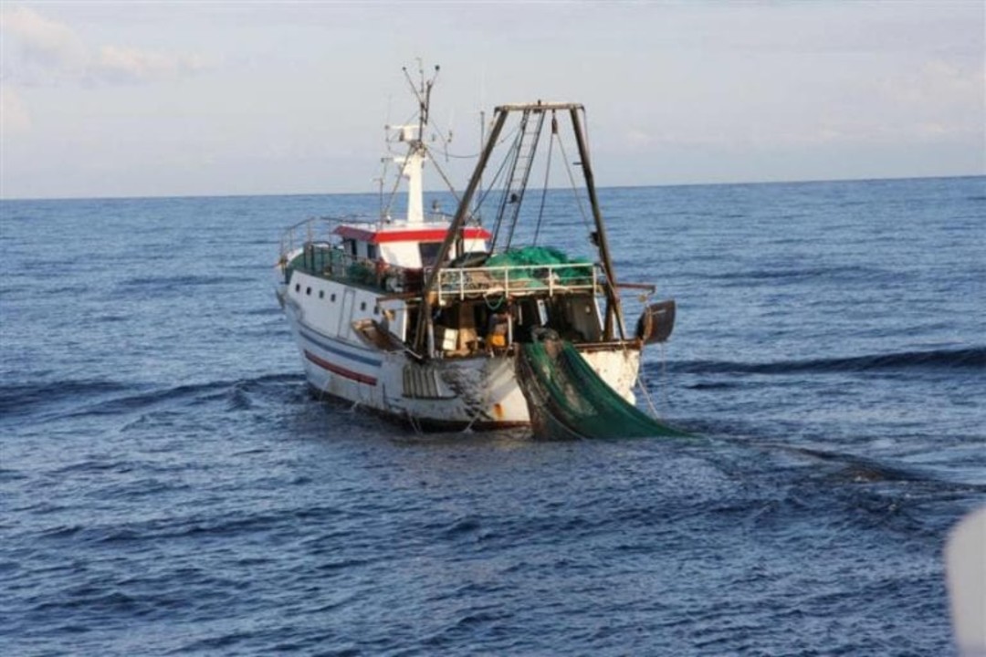 pesca-a-strascico.jpg - {pesca-a-strascico.jpg} - [39776]
