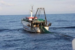 pesca-a-strascico.jpg - {pesca-a-strascico.jpg} - [39776]