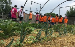 CascinaFalchera.jpeg - {CascinaFalchera.jpeg} - [41665]