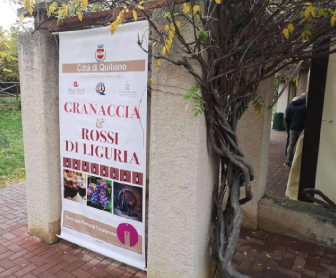 granaccia.png - {granaccia.png} - [42084]