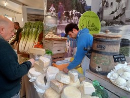 Calici e Forchette.jpg - {Calici e Forchette.jpg} - [42583]
