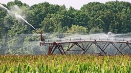 Immagine irrigazione-agricoltura-acqua-Pi.jpg - {Immagine irrigazione-agricoltura-acqua-Pi.jpg} - [43304]
