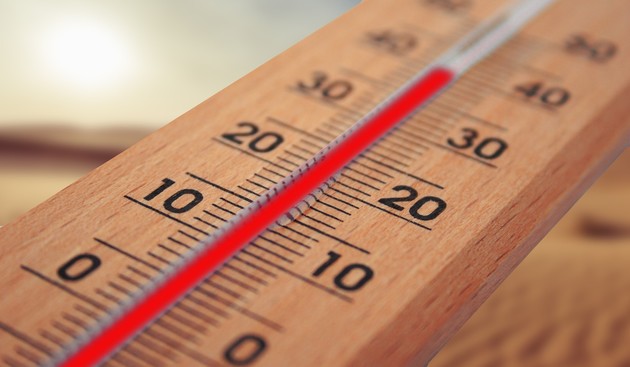 afa caldo estate.jpg - {afa caldo estate.jpg} - [4349]