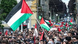 CorteoProPalestina.jpg - {CorteoProPalestina.jpg} - [43776]