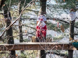 Adventure-Park.jpg - {Adventure-Park.jpg} - [43896]