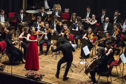 Una passata edizione del concorso per violino e orchestra.jpg - {Una passata edizione del concorso per violino e orchestra.jpg} - [44490]