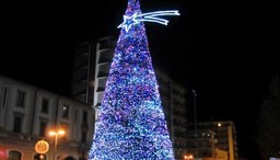 albero-natale-arona-.jpg - {albero-natale-arona-.jpg} - [44764]