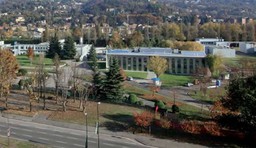 Un operaio travolto e ucciso in un cantiere Smat.jpg - {Un operaio travolto e ucciso in un cantiere Smat.jpg} - [45140]
