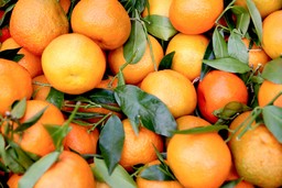 Clementine.jpg - {Clementine.jpg} - [45260]