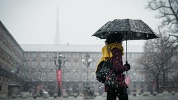 NeveTorino.jpg - {NeveTorino.jpg} - [45268]