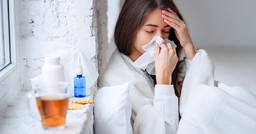 Influenza.jpg - {Influenza.jpg} - [45276]