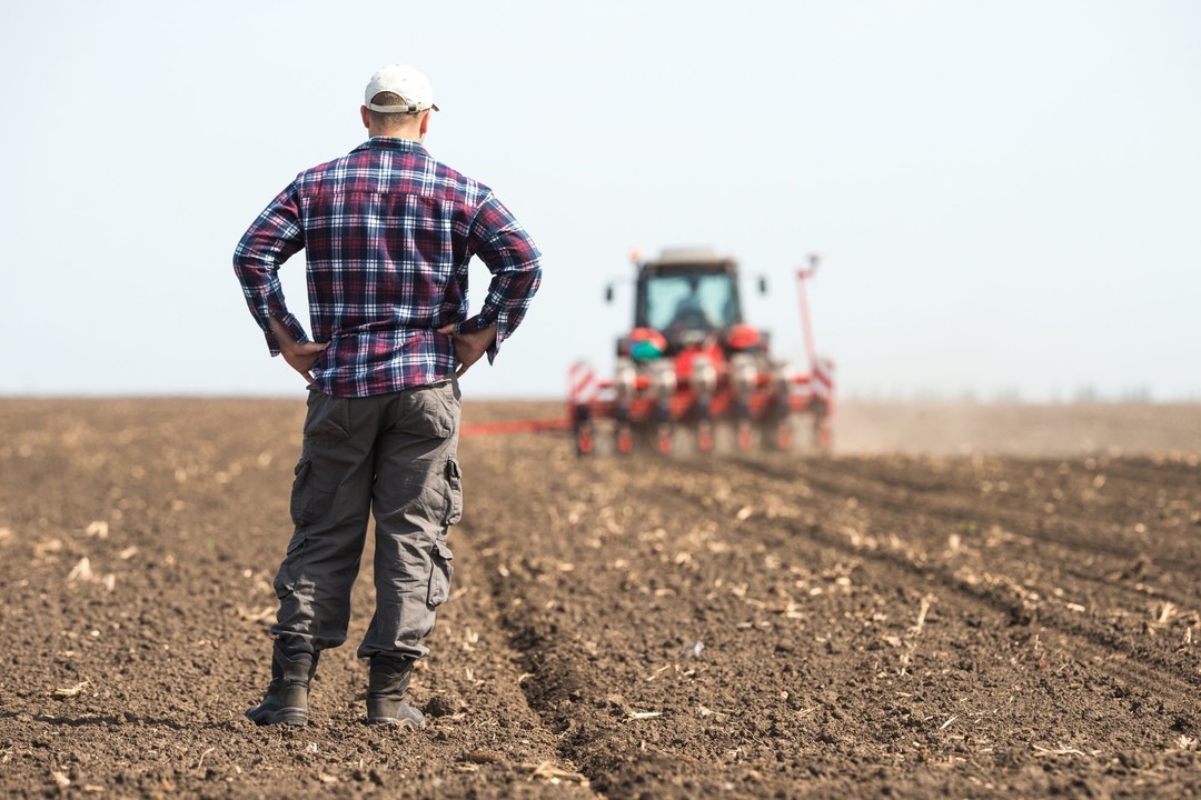 Agricoltore-al-lavoro_Canva.jpg - {Agricoltore-al-lavoro_Canva.jpg} - [45412]