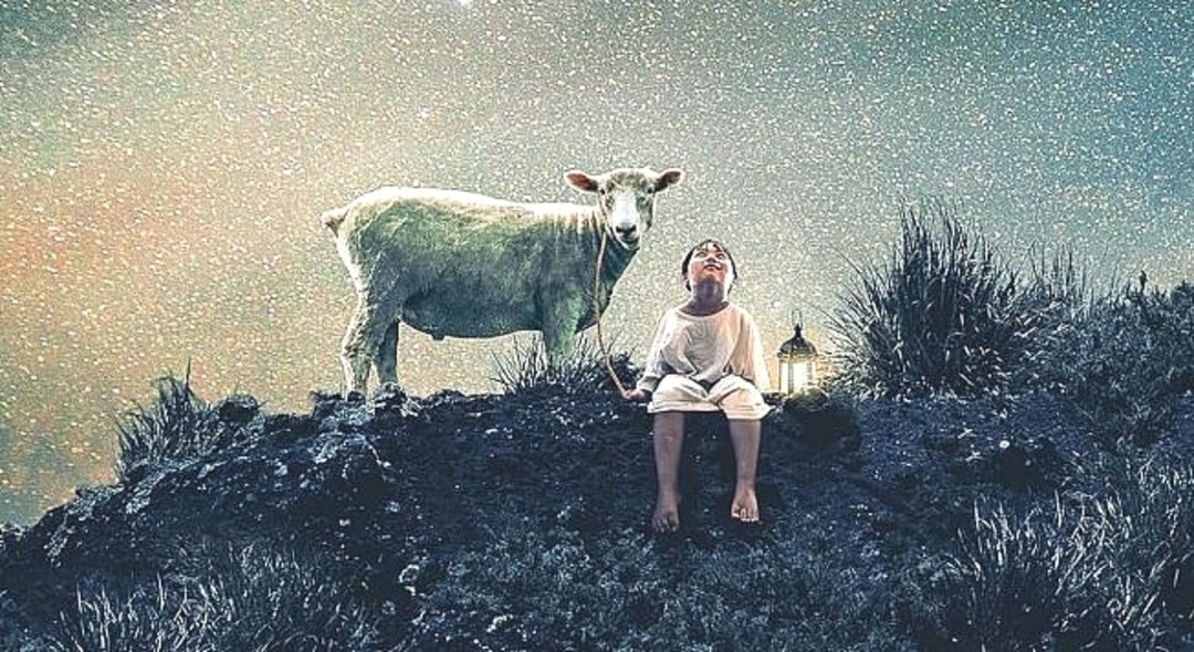 Immagine 53249_NEW.jpg - {Immagine 53249_NEW.jpg} - [45596]