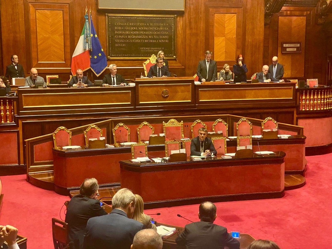 senato rixi.jpg - {senato rixi.jpg} - [45796]