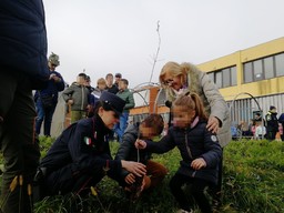 festa dell'Albero Novara 2024.jpg - {festa dell'Albero Novara 2024.jpg} - [45868]