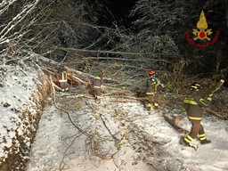IMG_6372.jpeg - {IMG_6372.jpeg} - [46084]