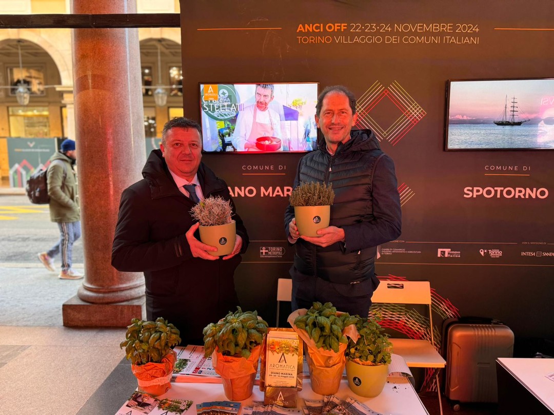 8750_allo stand.jpg - {8750_allo stand.jpg} - [46204]