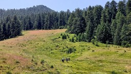 Foto verde montagna olimpica campagna.jpg - {Foto verde montagna olimpica campagna.jpg} - [4623]