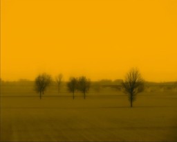 1.jpg - {1.jpg} - [46669]