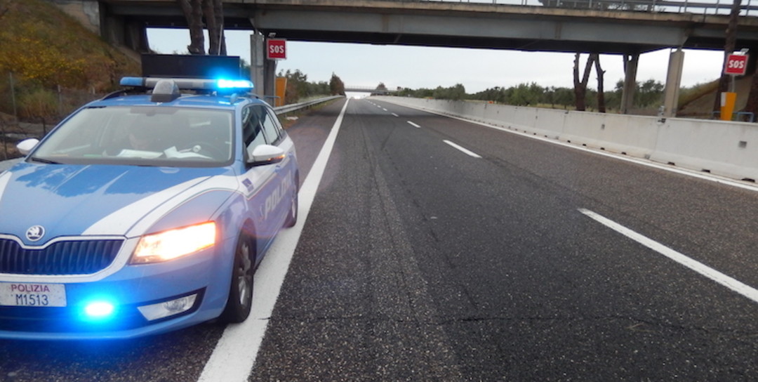 polizia stradale.jpg - {polizia stradale.jpg} - [47071]