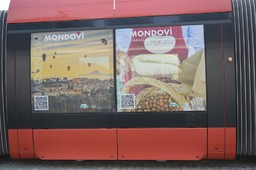 Tram Nizza_1.jpg - {Tram Nizza_1.jpg} - [47095]