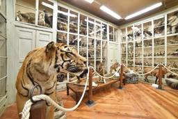 museo-craveri-social.png - {museo-craveri-social.png} - [47183]
