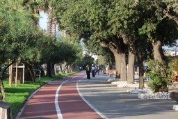 Vado Ligure lungomare alberi.jpg - {Vado Ligure lungomare alberi.jpg} - [47457]
