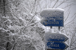 piano neve genova.png - {piano neve genova.png} - [47834]