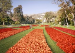 euroflora1.jpg - {euroflora1.jpg} - [48531]