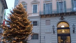 DonoSospesoIvrea.jpg - {DonoSospesoIvrea.jpg} - [49027]