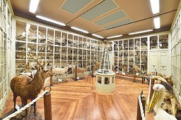 Immagine museo craveri media.jpg - {Immagine museo craveri media.jpg} - [49203]
