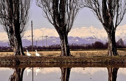Emili Quasi paesaggi.jpg - {Emili Quasi paesaggi.jpg} - [49291]
