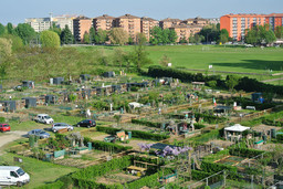Orti urbani.jpg - {Orti urbani.jpg} - [49307]