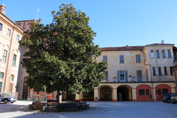 cortile-scuole-maschili-montalcini.png - {cortile-scuole-maschili-montalcini.png} - [49603]