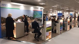 ILTM CANNES.jpeg - {ILTM CANNES.jpeg} - [49723]