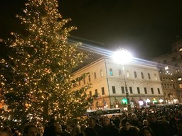NATALE DE FERRARI.jpg - {NATALE DE FERRARI.jpg} - [49739]