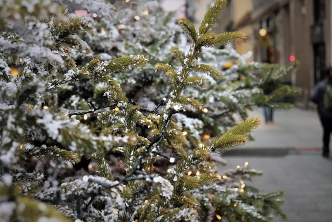 Natale .jpg - {Natale .jpg} - [49971]