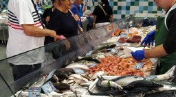 what-shall-we-eat-for.jpg - {what-shall-we-eat-for.jpg} - [50163]