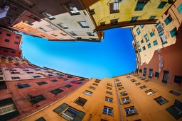 genova vicoli.jpg - {genova vicoli.jpg} - [50251]