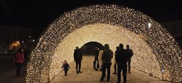 Immagine Illuminatale21_3_foto MB.jpg - {Immagine Illuminatale21_3_foto MB.jpg} - [50427]