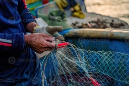 pesca.jpg - {pesca.jpg} - [50571]