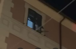 fucile albenga.jpg - {fucile albenga.jpg} - [5071]