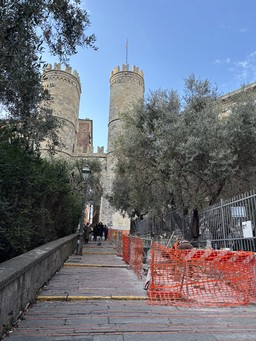 lavori barriere disabili 1.jpeg - {lavori barriere disabili 1.jpeg} - [50932]