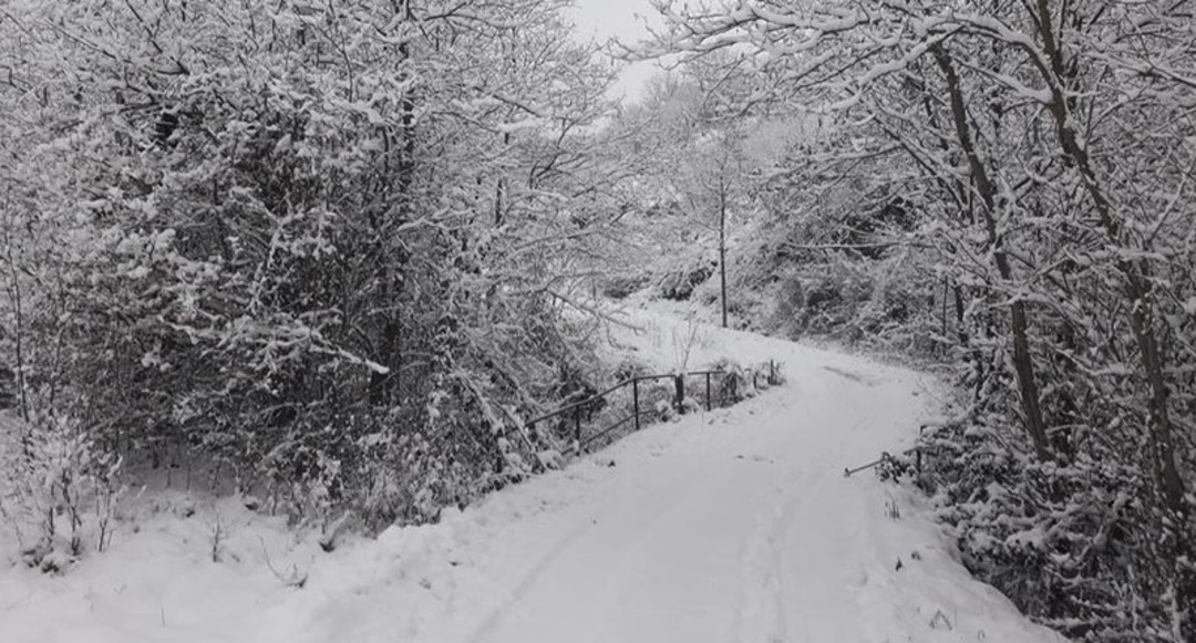 neve.jpg - {neve.jpg} - [50988]