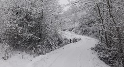 neve.jpg - {neve.jpg} - [50988]