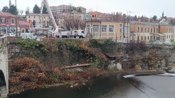 Alveo_3.jpg - {Alveo_3.jpg} - [51172]